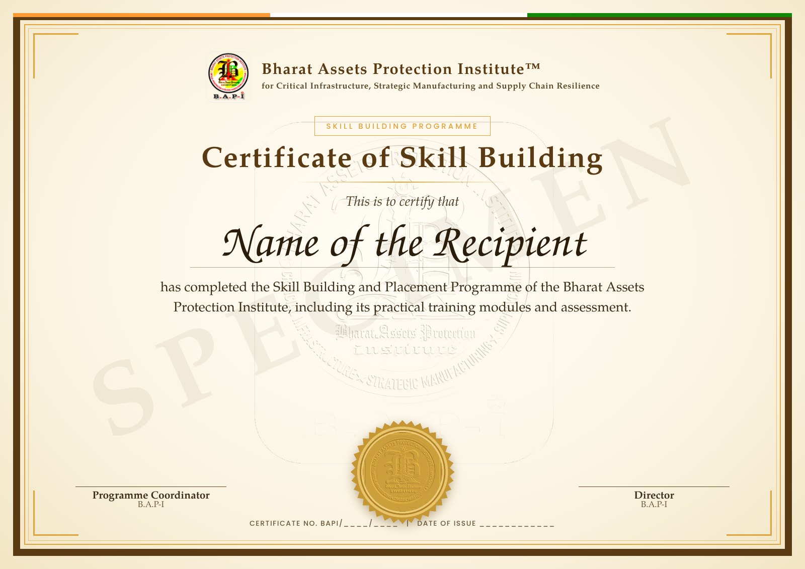 Certificate of Skill Building (specimen)