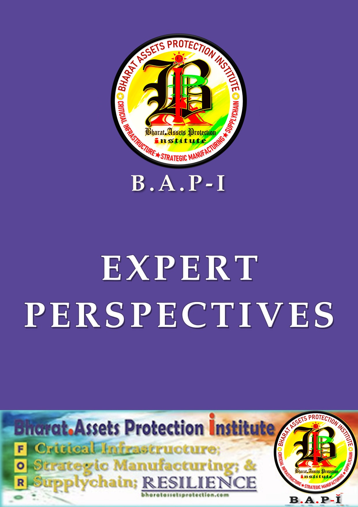 Expert Perspectives