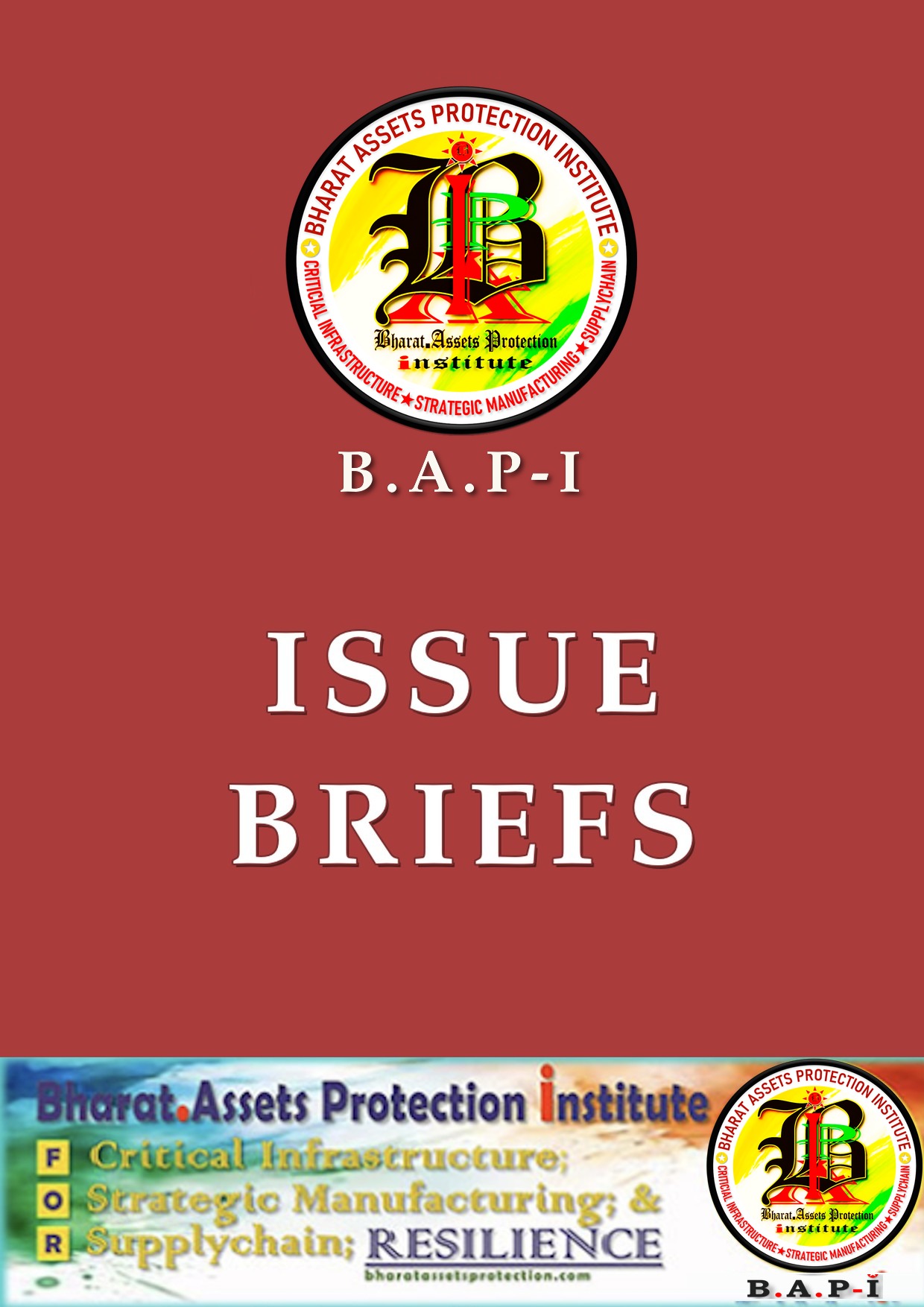 Issue Briefs