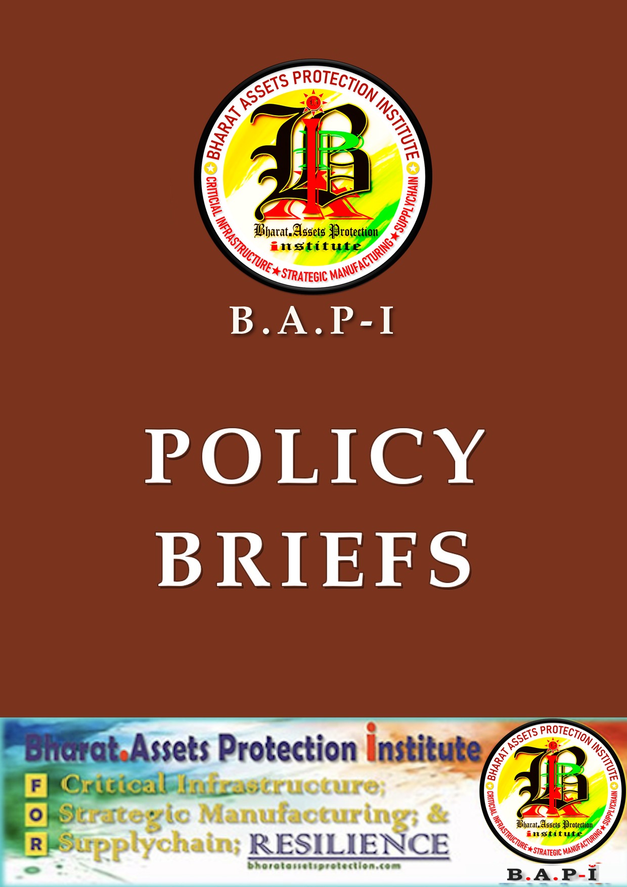 Policy Briefs