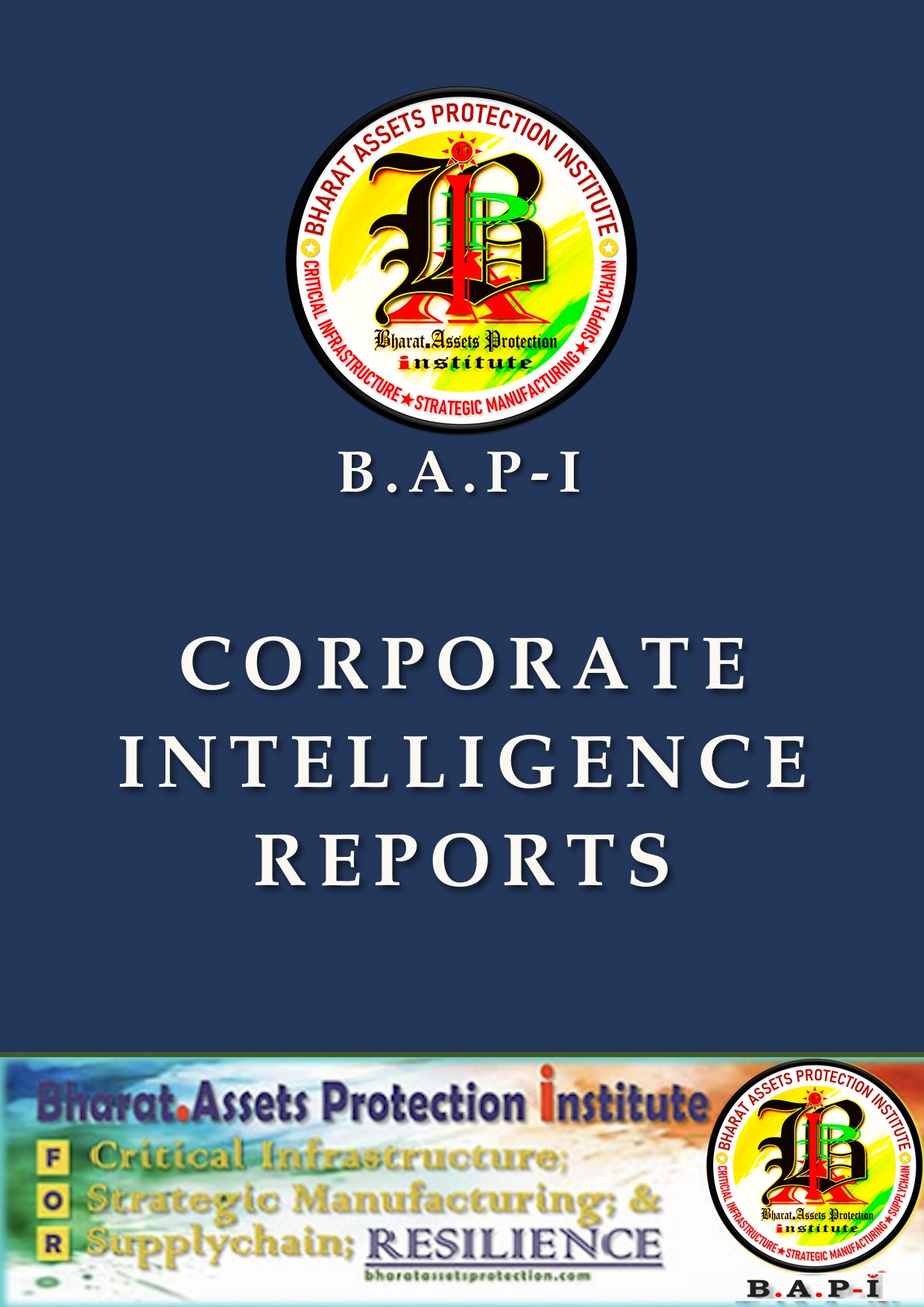 Corporate Intelligence Reports