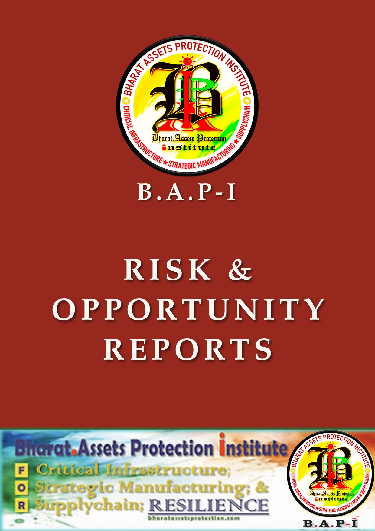 Risk & Opportunity Reports