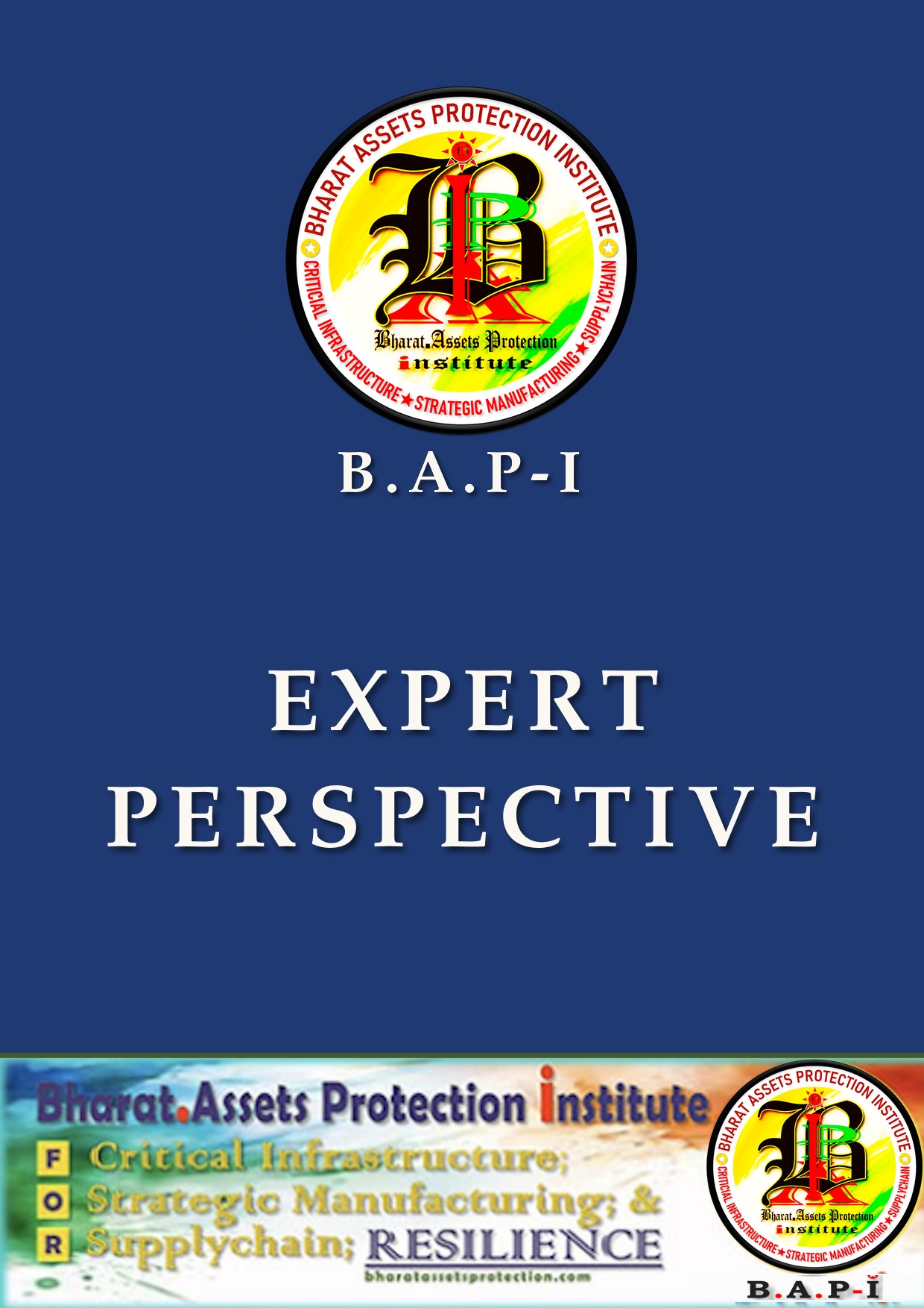 Expert perspective